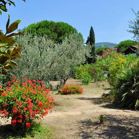 Comfortable House In With Garden And Parking Included Holiday home Lacona